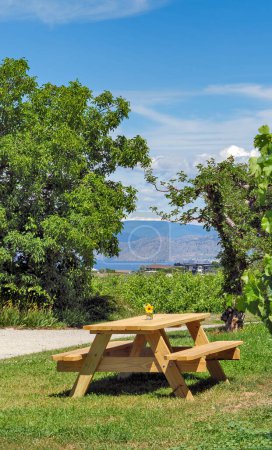 Wooden table and benches in recreation area with beautiful overview of the lake and mountains.