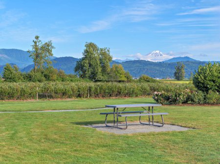 Recreational area with a table and benches on farmland in Fraser Valley, overlooking Mount Baker.