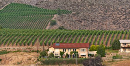 Maison de fermiers avec le vignoble sur la pente de la montagne arrière-cour.