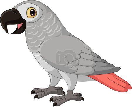 Illustration for Vector illustration of Cartoon Congo Grey Parrot on White Background - Royalty Free Image