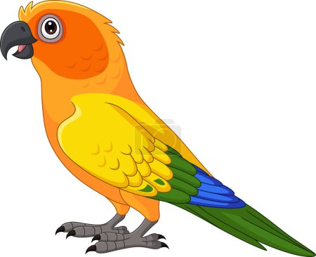 Illustration for Vector illustration of Cartoon Sun Conure Parrot on White Background - Royalty Free Image