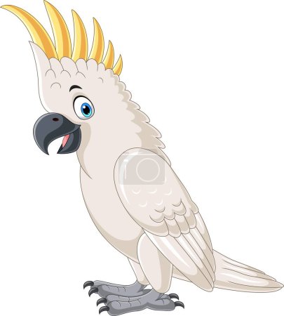 Vector illustration of Cartoon white cockatoo on white background