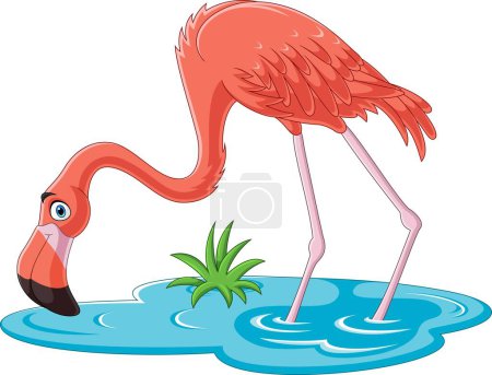 Photo for Vector illustration of Cartoon flamingo on white background - Royalty Free Image