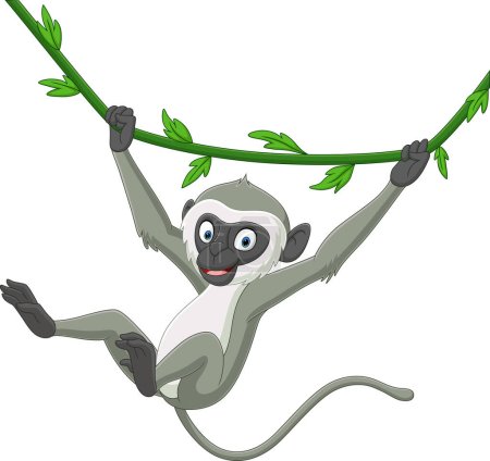 Illustration for Vector illustration of Cute langur monkey cartoon hanging - Royalty Free Image