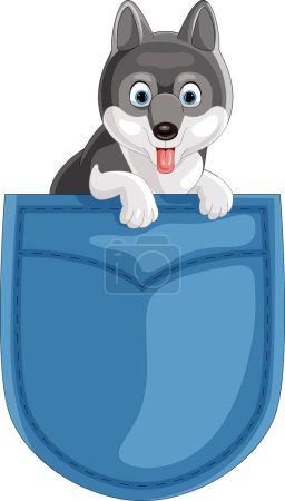Photo for Vector illustration of Cartoon siberian husky in the pocket - Royalty Free Image