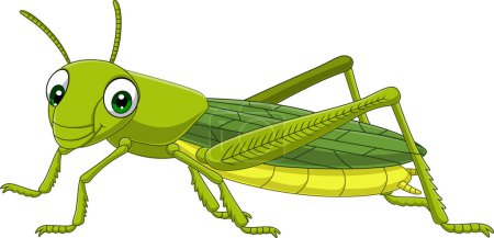 Photo for Vector illustration of Cartoon grasshopper on white background - Royalty Free Image