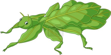 Vector illustration of Cute leaf insect on white background