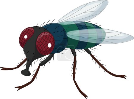 Photo for Vector illustration of Cartoon house fly on white background - Royalty Free Image