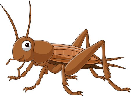 Photo for Vector illustration of Cartoon grasshopper on white background - Royalty Free Image