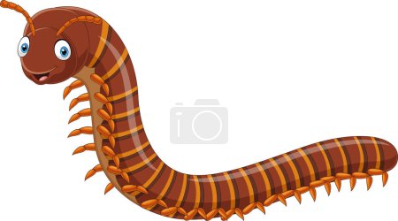 Photo for Vector illustration of Cartoon centipede isolated on white background - Royalty Free Image