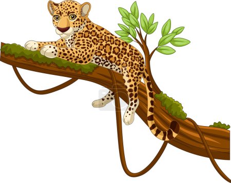 Photo for Vector illustration of Cartoon leopard lying on a tree branch - Royalty Free Image