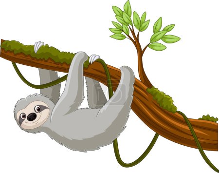 Photo for Vector illustration of Cartoon sloth hanging on a tree branch - Royalty Free Image