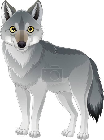 Photo for Vector illustration of Cartoon wolf on white background - Royalty Free Image