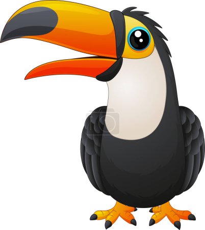 Photo for Vector illustration of Cartoon toucan on white background - Royalty Free Image