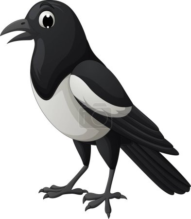 Ilustración vectorial de ave urraca de dibujos animados aislada sobre fondo blanco