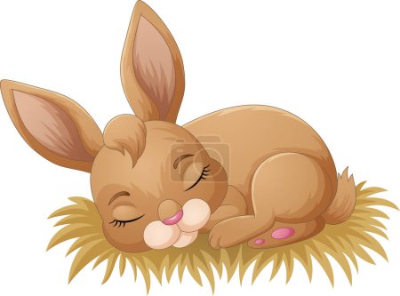 Foto de Ilustración vectorial de conejo durmiendo aislado sobre fondo blanco - Imagen libre de derechos