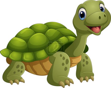 Foto de Ilustración vectorial de tortuga divertida de dibujos animados aislada sobre fondo blanco - Imagen libre de derechos