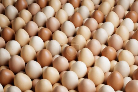 A top-view of an abundance of fresh, healthy raw hen's eggs in different shades of shell arranged neatly in an egg carton, perfect for a delicious breakfast.