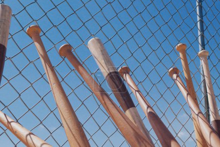Foto de Un gran número de bates de béisbol apoyados contra una cerca de eslabones de cadena alrededor del campo de béisbol. Equipo deportivo. Freno en una práctica de equipo. Juego americano. Fondo cielo azul - Imagen libre de derechos