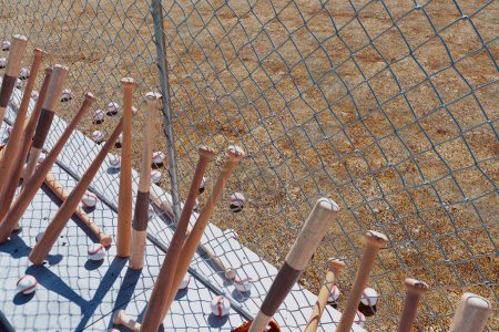 Un gran número de bates de béisbol apoyados contra una cerca de eslabones de cadena alrededor del campo de béisbol. Equipo deportivo. Freno en una práctica de equipo. Juego americano. Fondo de tierra de grava.