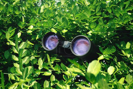 Photo for Binoculars among leaves. Observation equipment. Concept of spying technology. Hidden spy looking through field glasses and watching a target. Under surveillance. An atmosphere of suspense and anxiety. - Royalty Free Image