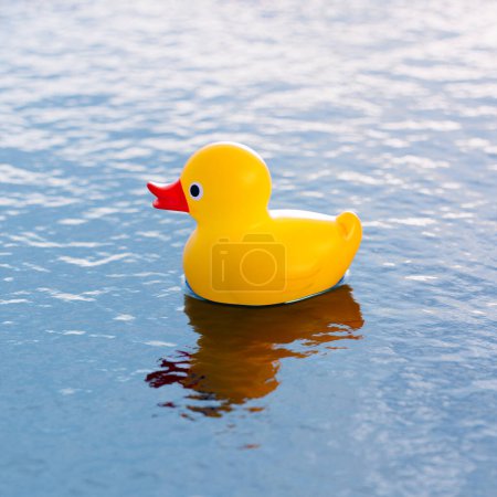 Photo for Rubber duck floating in the swimming pool. Cute yellow toy in the water. Plastic duckling ready for child's fun. Joyful and cheerful atmosphere. Time for play.  Sunny day. - Royalty Free Image