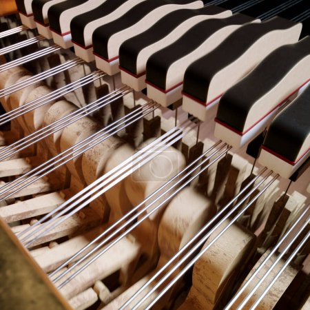Una imagen de los martillos de piano que son componentes cruciales del piano, y esta imagen se centra en la belleza de su intrincado diseño. Estos son los responsables de tocar las cuerdas para producir sonido.