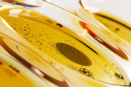 Dieses fesselnde Bild zeigt Reihen von Petrischalen mit einer kreisrunden flachen Form schwarzer Bakterien- oder Pilzkolonien. Gelbe Agar-Platte zur Diagnose einer Infektion. Mikrobiologie, Labor