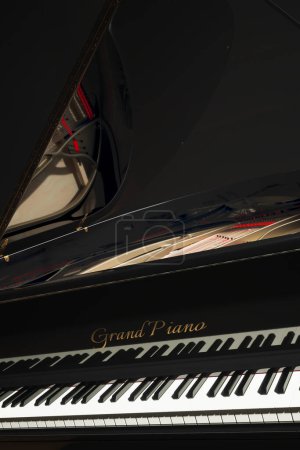 Téléchargez les photos : Un piano à queue noir sur scène, dont les touches brillent sous les projecteurs, captive le public. La salle vide crée l'anticipation pour les belles mélodies à venir - en image libre de droit
