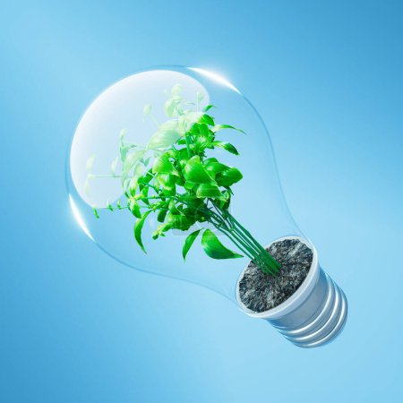 Téléchargez les photos : Plante verte poussant dans l'ampoule au fond bleu. Concept de réchauffement climatique environnemental. Sauver la terre. L'écologie. Ampoule avec la plante à l'intérieur. Aider l'environnement. Économiser l'électricité - en image libre de droit
