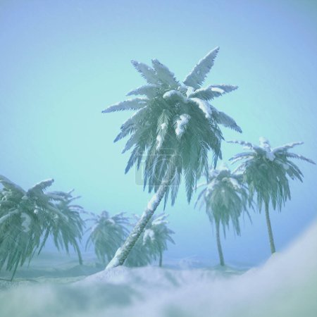 An extraordinary winter tableau captures the stark contrast of tropical palm trees encapsulated by a gentle snowfall, with the hazy firmament above shrouding the scene in mystery.