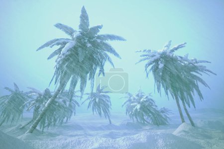 Téléchargez les photos : Une fusion captivante et inhabituelle de climats avec des palmiers luxuriants enveloppés de neige, dans un contexte hivernal brumeux, créant une atmosphère aérienne et tranquille. - en image libre de droit