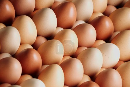 Foto de Esta imagen de alta resolución muestra maravillosamente un surtido diverso de huevos de pollo multicolores, dispuestos artísticamente para resaltar sus diferentes tonalidades y texturas intrincadas.. - Imagen libre de derechos