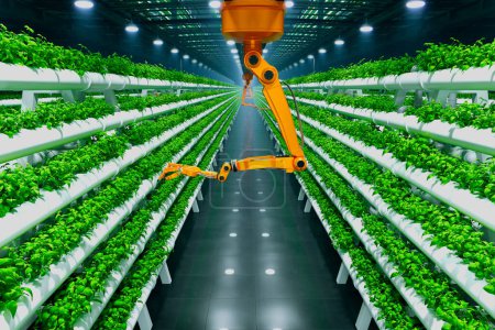 Téléchargez les photos : Un bras robotique de pointe opère dans une ferme intérieure hydroponique verticale, améliorant les pratiques agricoles durables grâce à la technologie moderne, assurant une croissance alimentaire efficace. - en image libre de droit