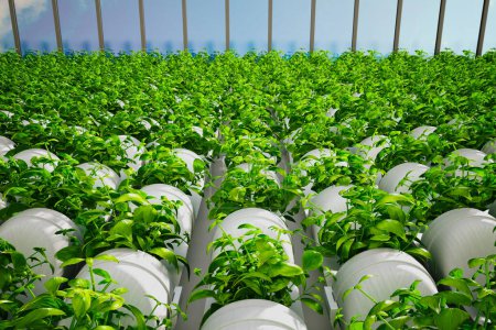 Eine hoch entwickelte vertikale Anbauanlage mit üppigen, in Reihen organisierten Pflanzen, die die Synergie von moderner Technologie und nachhaltiger Landwirtschaft für einen optimalen Ertrag verkörpert.