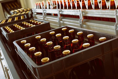 Vista de una línea de producción de embotellado automatizada con botellas de ámbar selladas que se transportan y embalan en cajas, mostrando la eficiencia de fabricación moderna en una instalación de bebidas.