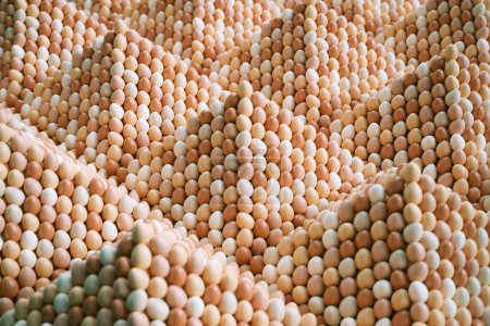 Photo for This vast, colorful ensemble of eggs reveals a diverse palette from pale white to deep brown, meticulously organized in a mass display, showcasing the variety of a farm's produce. - Royalty Free Image
