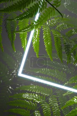 Photo for This striking image captures lush fern leaves bathed in the incandescent glow of a neon light, juxtaposing natural beauty with a hint of urban futurism in a shadowy ambiance. - Royalty Free Image