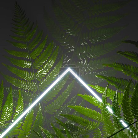 Foto de Imagen cautivadora de hojas de helecho dramáticamente resaltadas por una luz de neón, creando un impresionante contraste visual y mostrando los intrincados patrones naturales en la oscuridad. - Imagen libre de derechos