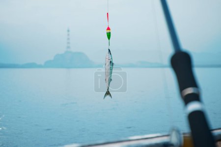 Photo for Pristine capture of a freshly caught mackerel fish, elegantly suspended from a fishing line, with the vast sea and a vague outline of the coast providing a tranquil backdrop. - Royalty Free Image