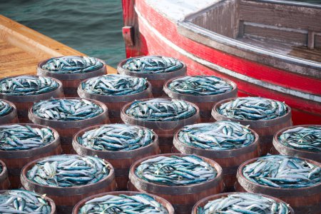 Scène à quai capture des barils de bois débordant d'une prise fraîche de poisson, juxtaposé à la coque vibrante d'un bateau de pêche avec la mer expansive s'étendant à l'horizon.
