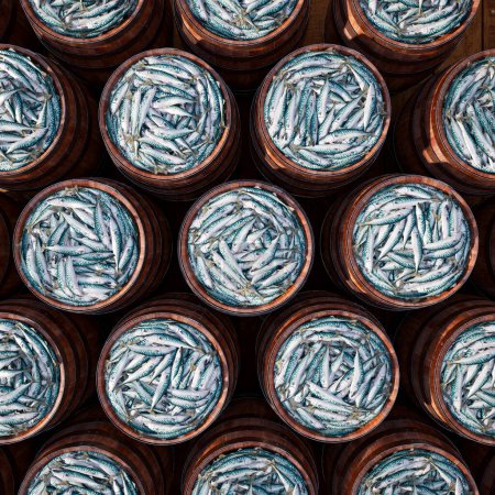 Una abundancia de sardinas frescas capturadas en una configuración apretada dentro de cestas de madera rústica, un patrón detallado de captura marina brillante listo para el mercado.