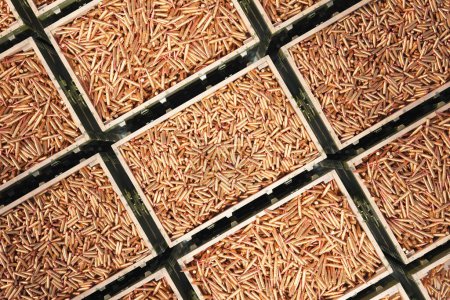 Top-down view showcasing a vast collection of precision-engineered copper bullets, methodically arrayed in metallic containers for swift military or commercial deployment.