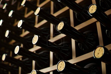 Selection of wine bottles with visible corks, symmetrically organized in a traditional wooden wine rack, under soft lighting that accentuates the rich color palette.
