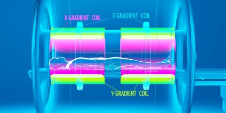 Ilustración detallada que muestra a un paciente humano en un escáner de resonancia magnética con énfasis en las funciones de bobina de gradiente X, Y y Z. Ideal para uso educativo y sanitario.