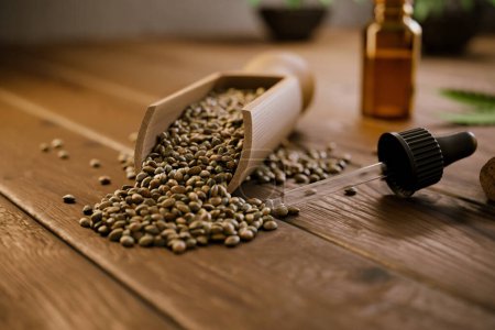 Close-up view showcasing organic hemp seeds spilling from a wooden scoop with a CBD oil dropper and bottle in soft focus background, epitomizing natural wellness.
