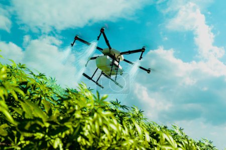 Foto de Avanzado dron agrícola volando sobre cultivos vibrantes, dispensando fertilizantes o pesticidas con precisión precisa en un enfoque moderno para la agricultura sostenible. - Imagen libre de derechos