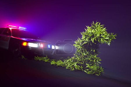 A captivating image portraying the luminous silhouette of a cannabis plant foregrounded by the intense, colorful beams of a police car's lights against a mysteriously dark backdrop.