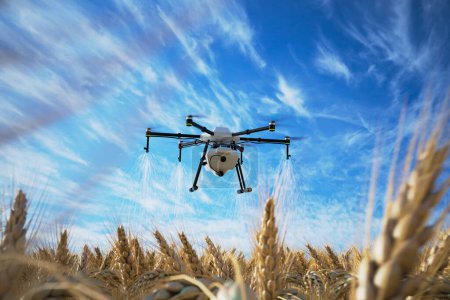 An advanced agricultural drone hovers methodically over a lush wheat field, dispensing treatment with precision against the serene backdrop of a clear blue sky. Emphasizes modern sustainable farming.