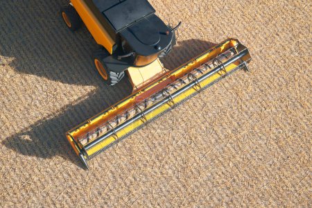 Elevated perspective captures the efficiency of a combine harvester slicing through golden stalks on a vast, sunlit agricultural expanse, epitomizing peak harvest season.